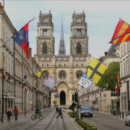 Studio Rue Pietonne Orléans Exterior foto