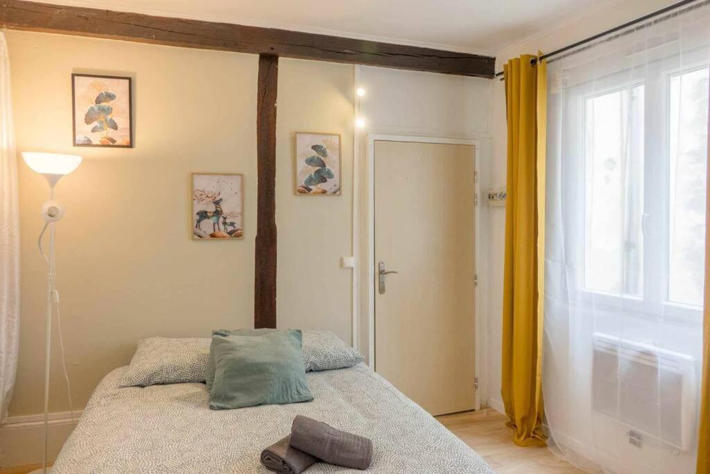 Studio Rue Pietonne Orléans Exterior foto
